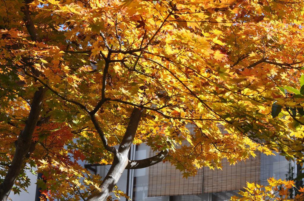 Hotel Yudanaka Yumoto Yamanouchi  Exterior foto
